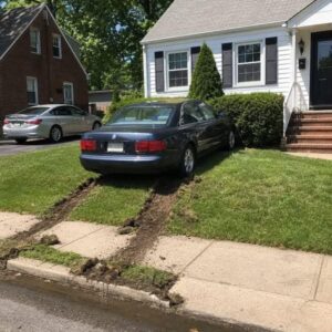 My Neighbor Parked On My Lawn And Faced A Priceless Surprise