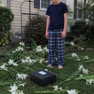 Every Year My Surviving Twin Son Honored His Sister With Lilies, Then a Black Box Appeared Among the Destroyed Flowers